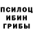 Галлюциногенные грибы Psilocybine cubensis Linkdark 69