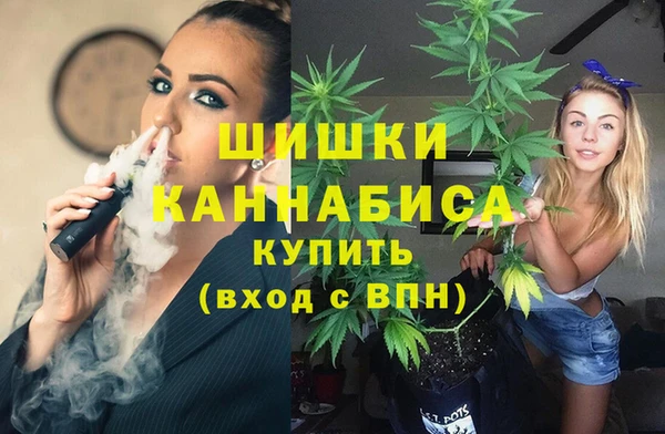 шишки Балабаново