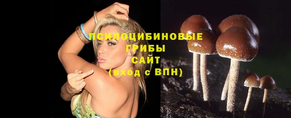 экстази Баксан