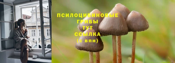 экстази Баксан
