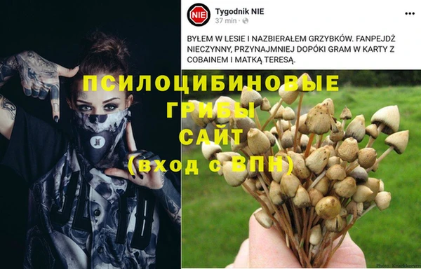 экстази Баксан