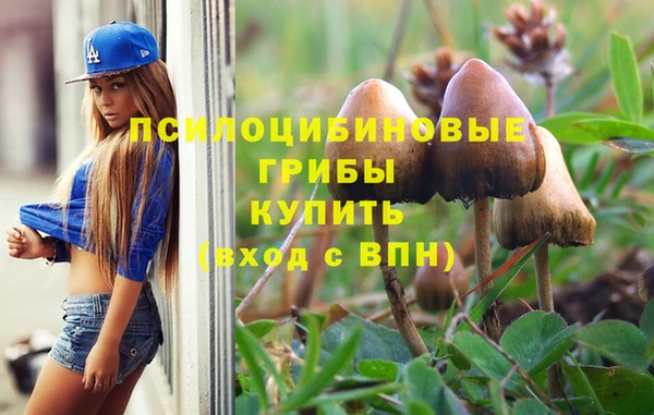 хмурый Балахна