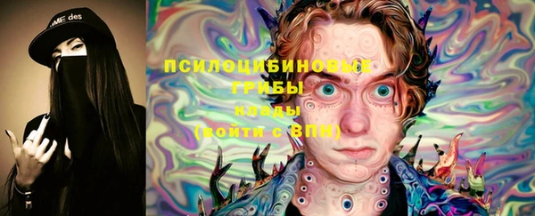 шишки Балабаново
